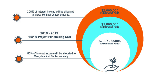 Endowment Growth Infographic