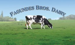 Fagundes Dairy