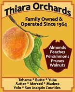 Thiara Orchards