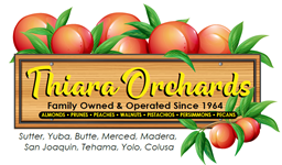 Thiara Orchards