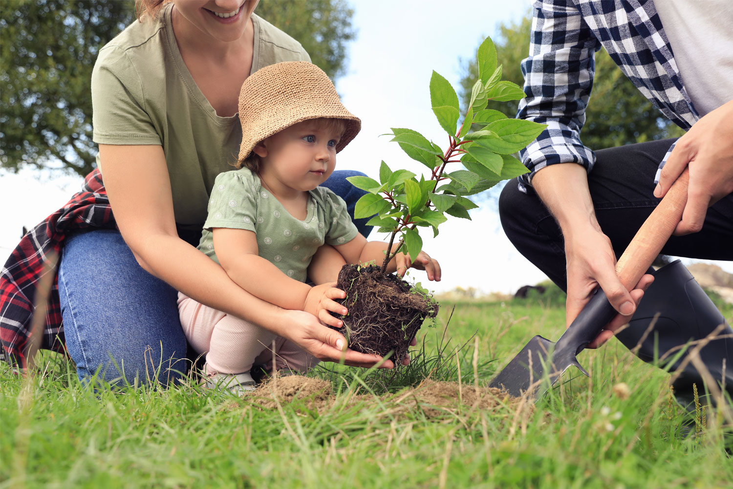 Tree Planting Family