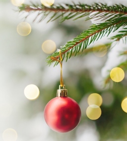 red ornament on tree